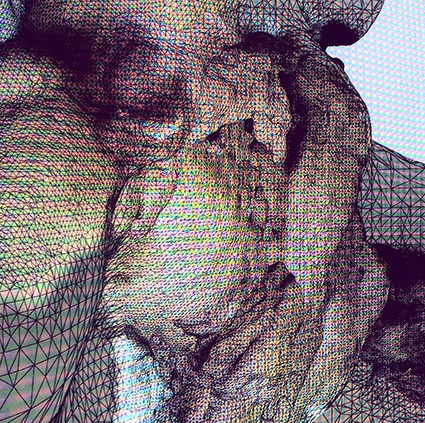 Interrupted 3D scan by artist Paul Coombs